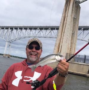 Meet your Posher, Fred